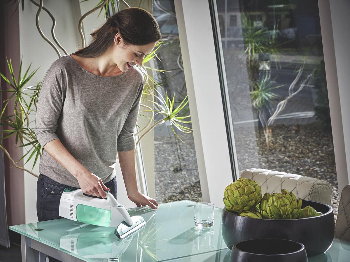 Leifheit Dry & Clean - raamzuiger met steel (43 cm) en inwasser - click system thumbnail 8