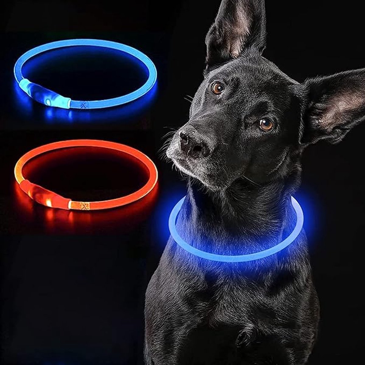 JN Blauwe LED Halsband voor honden - Medium size - blauw verlichte halsband - 50 cm - Graag nauwkeurig de maat opmeten! - Lichtgevende Halsband Hond - Oplaadbaar via USB - adjustable - verstelbaar - verstelbare halsband USB oplaadbaar - JN