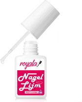 Royala | Ensemble de 18 poudres Acryl | Total 108 grammes de poudres | Ongles en acrylique | Kit de démarrage pour Nail Art| 18 couleurs | Nail Art