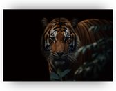 Tijger schilderij - Tijger wanddecoratie - Slaapkamer decoratie - Planten schilderijen - Schilderijen dieren - Plexiglas tijger - 120 x 80 cm 5mm