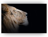 Leeuw poster - Poster kinderkamer - Leeuwen wanddecoratie - Slaapkamer poster - Dieren poster - Kamer decoratie - 75 x 50 cm