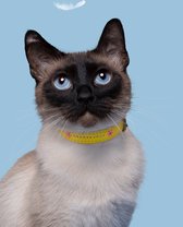 DWAM Dog with a Mission Halsband Kat – Kattenhalsband – Poezenband - Geel - One Size – Leer – Halsomvang tussen 20 -24 x 1,5 cm – Ollie