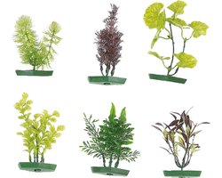 Flamingo - Aquarium plant assortiment - Willekeurig - 10 cm