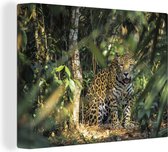 Canvas Schilderij Verstopte jaguar in de jungle - 120x90 cm - Wanddecoratie