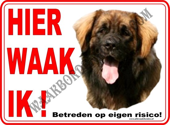 Leonberger 279...15x20cm...Hier waak ik!
