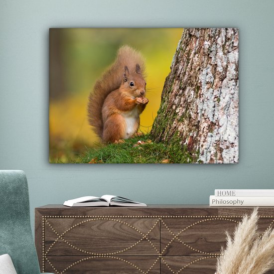 Tableau sur toile Écureuil roux à côté de l'arbre - 80x60 cm - Décoration murale