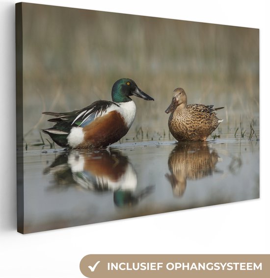 Canvas Schilderij Eend - Water - Reflectie - 60x40 cm - Wanddecoratie