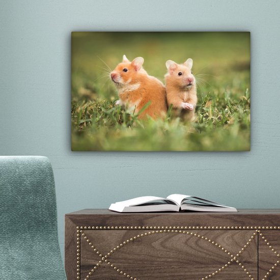 Tableau sur toile Hamsters dorés - 30x20 cm - Décoration murale