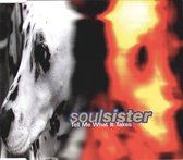 Soulsister ‎– Tell Me What It Takes 4 Track Cd Maxi 1994