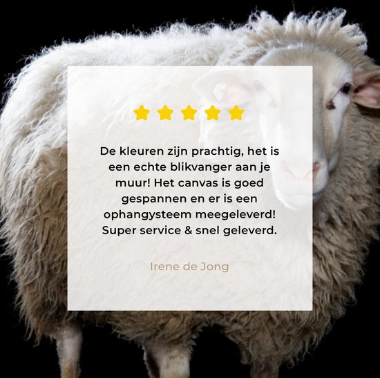 Mouton de Sardine sur toile de fond noir 2cm 60x90 cm - Tirage photo sur Toile (Décoration murale salon / chambre) / Peintures sur toile Animaux sauvages