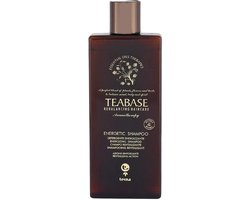 Tecna Teabase aromatherapy Energetic shampoo 250ml