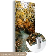 MuchoWow® Peinture sur verre 60x120 cm - Peinture sur verre - Feuilles - Automne - Forêt - Photo sur verre acrylique - Peintures
