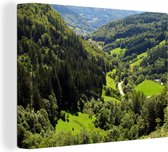 Canvas Schilderij Luchtfoto van het Europese Zwarte Woud in Duitsland - 120x90 cm - Wanddecoratie