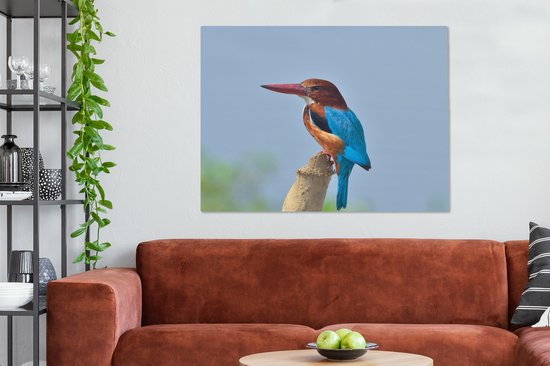 Tableau sur toile Martin-pêcheur de Smyrne dans sa pose caractéristique - 120x90 cm - Décoration murale