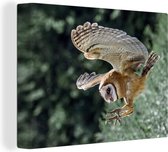 Attacking hibou 160x120 cm - Tirage photo sur toile (Décoration murale salon / chambre) XXL / Groot format!