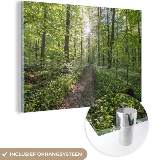 MuchoWow® Glasschilderij 150x100 cm - Schilderij acrylglas - Beukenbomen met een bospad - Foto op glas - Schilderijen