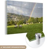 MuchoWow® Glasschilderij 60x40 cm - Schilderij acrylglas - De schapen op een weiland naast een regenboog - Foto op glas - Schilderijen