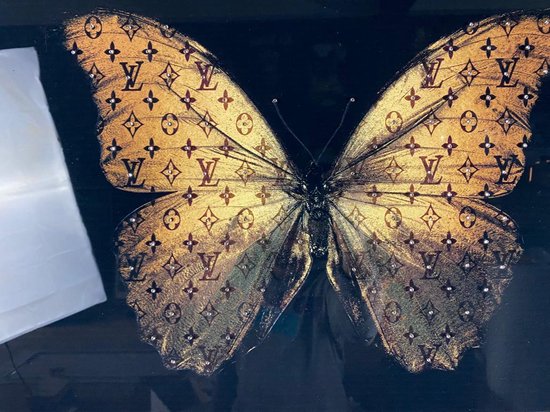 Lv Vlinder met staintjes schilderij op plexiglas 90x60cm