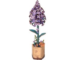 Robotime Lilac TW021
