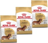 Royal Canin Bhn Teckel Adulte - Nourriture pour chien - 3 x 1,5 kg
