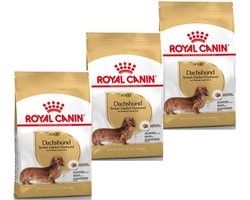 Royal Canin Dachshund Adult - Hondenvoer - 3 x 1.5 kg
