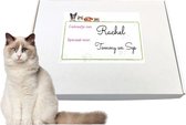 Nobleza Katten cadeaupakket S - kattenspeelgoed - kattencadeaus - katten cadeau box - katten box - katten pakket - kitten pakket - cadeau box kitten - kattenspeelgoed set - katten cadeau