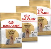 Royal Canin Yorkshire Terrier Adult - Nourriture pour chiens - 3 x 1,5 kg