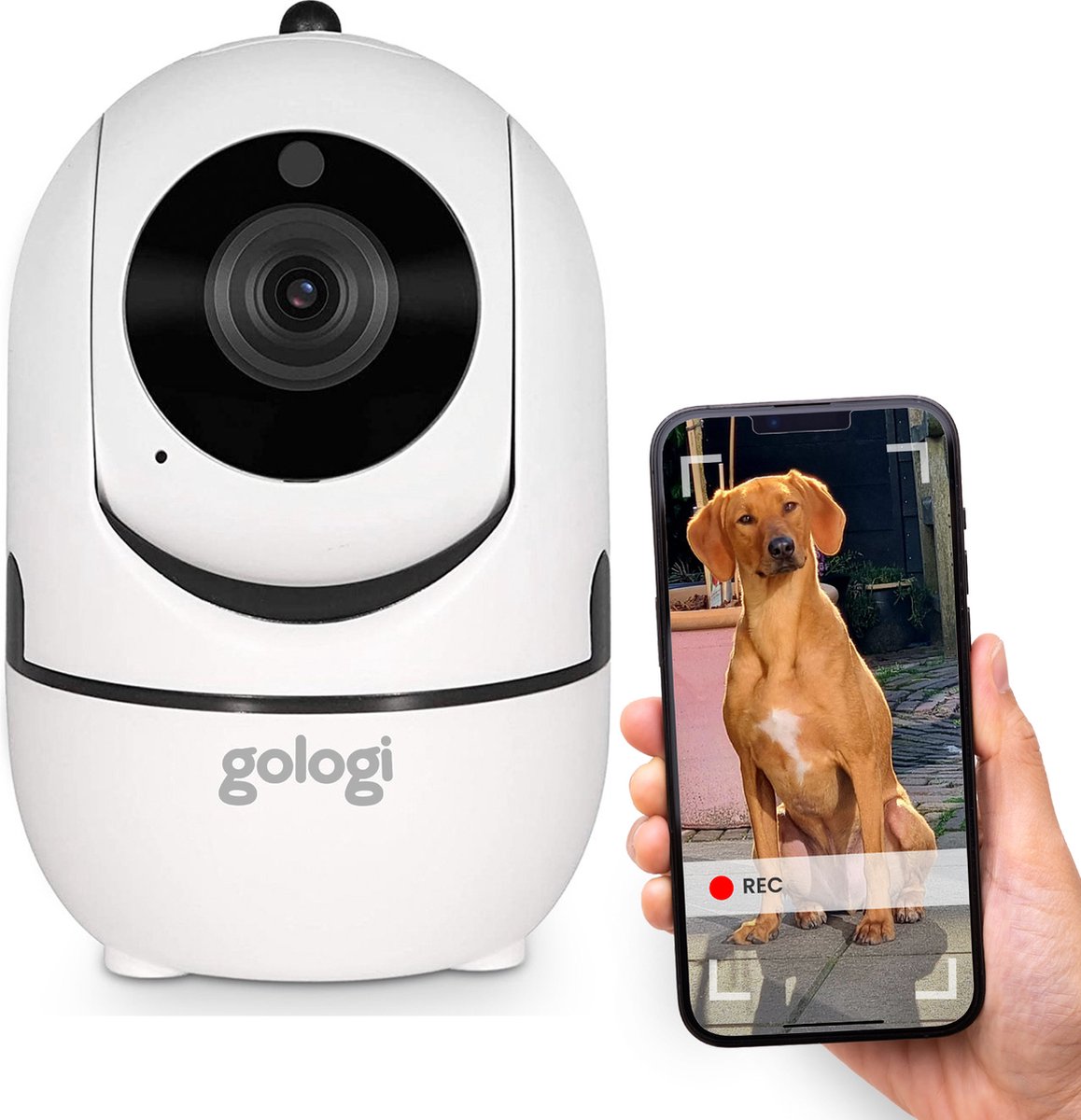 Gologi huisdiercamera - Hondencamera - Pet camera - Beveiligingscamera - Security camera - Voor alle huisdieren - Met wifi