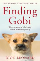 Finding Gobi Main edition The true story of a little dog and an incredible journey