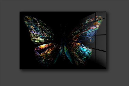 Tableau papillon LV sur plexiglas 90x60cm