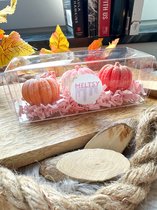 Meltsy Pumpkin Wax Melts - Set van 3 pompoen wax melts
