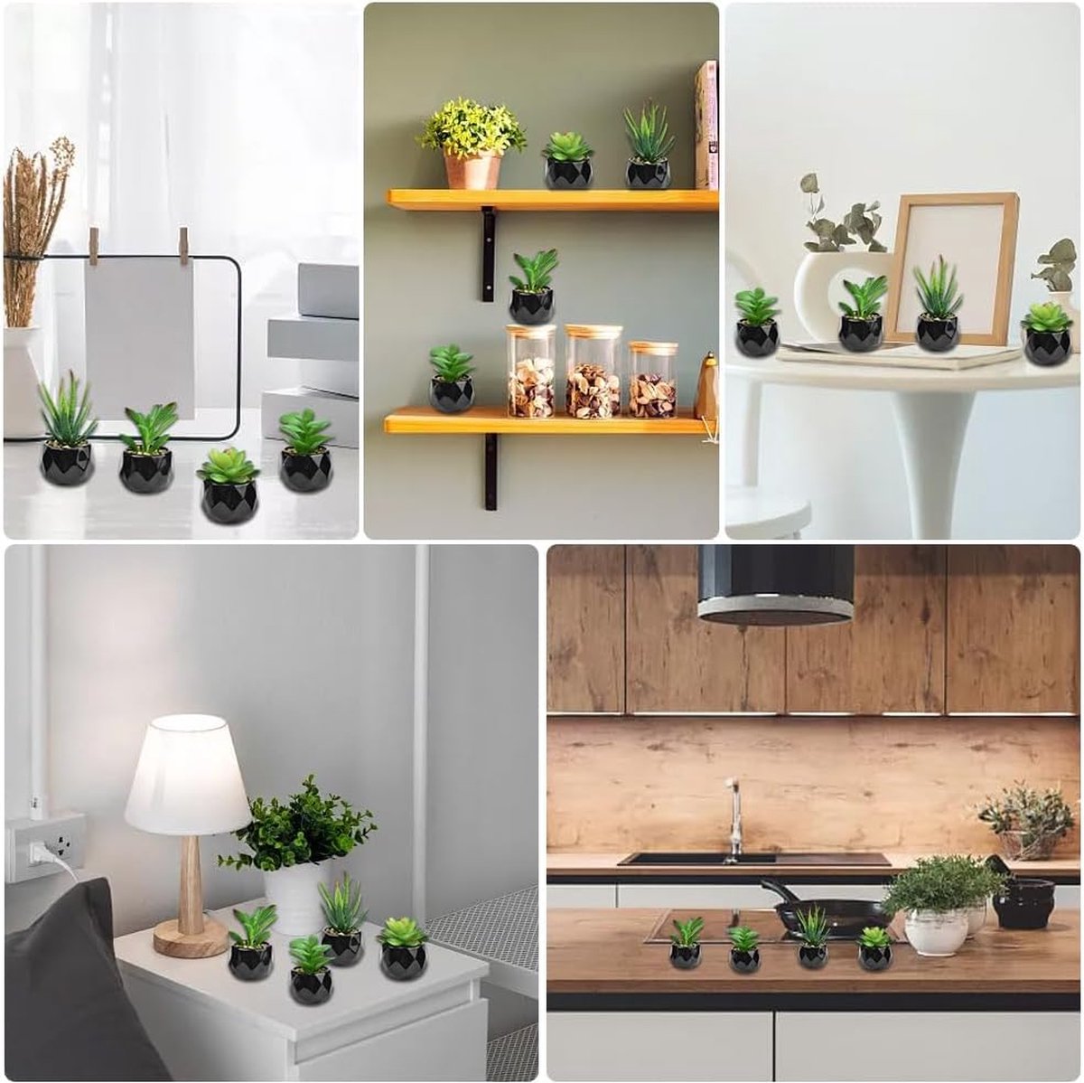 Set van 3 verschillende kleine potplanten nep eucalyptus rozemarijn buxus planten in zwart-wit geometrische betonnen keramische potten voor bureau tafel middelpunt keuken kantoor binnen buiten groen decor