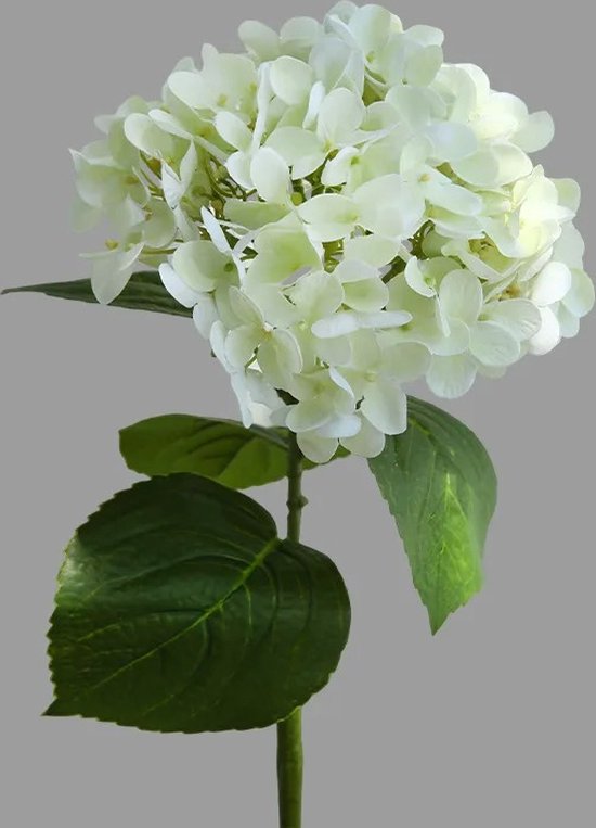 BaykaDecor - Hortensia Artificiel - Fausses Fleurs - Fleurs Fleurs artificielles - Fabrication de Bouquet Artificiel - DIY - Accessoires de vêtements pour bébé de Hobby - Ø16CM - Wit - 64 cm