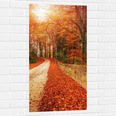 Muursticker - Landschap - Bomen - Bossen - Bladeren - Herfst - 50x100 cm Foto op Muursticker