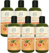 PETAL FRESH - Conditioner Aloe & Citrus - 6 Pak - Voordeelverpakking