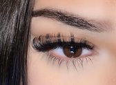 Plakwimpers - Natuurlijke nepwimpers - Nepwimpers - Gekrulde wimpers - Striplashes - Hariersbeauty lashes - Angel lashes