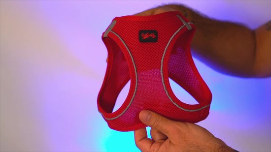Tailpetz - Harnais Air- Mesh - Harnais pour chien - Harnais pour chien - Harnais pour petit chien - Harnais pour chien en Y - Harnais pour chien - Harnais anti- Trek pour chien - Réfléchissant - Taille L - Pink