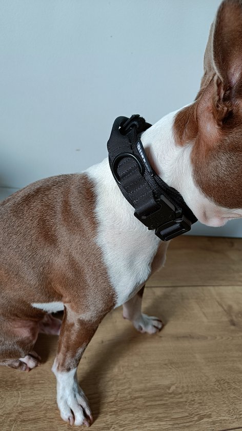 RUFF - Stoere halsband hond - K9 halsband - Complete set met hondenriem - Stoere halsband middelgrote hond - Maat M - Antraciet - Honden halsband training - Halsomtrek 40 - 50 cm - RUFF