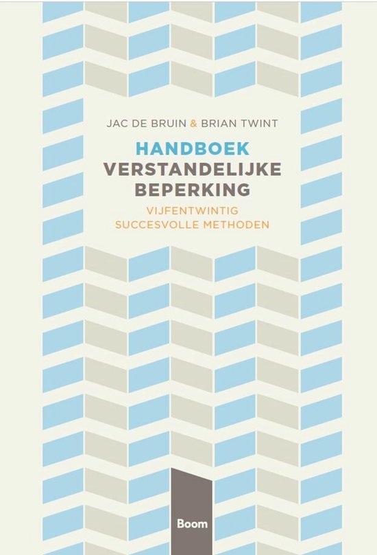 Handboek verstandelijke beperking