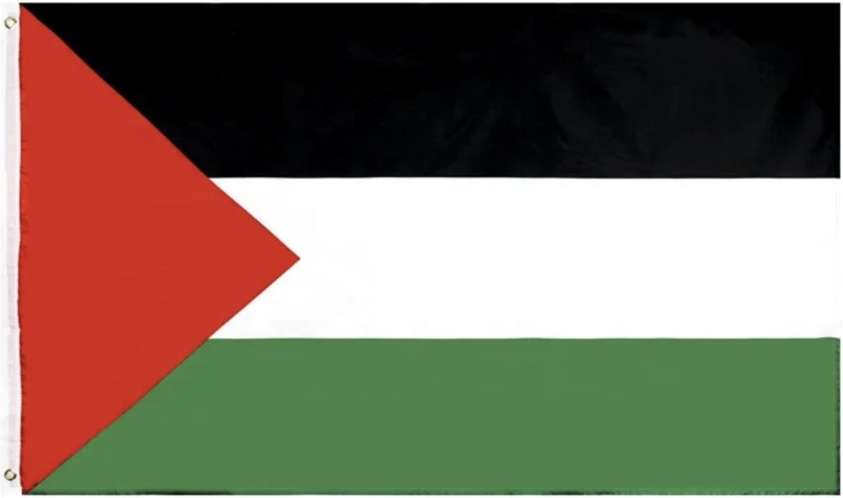 Acheter Drapeau Palestine - 7 tailles disponibles