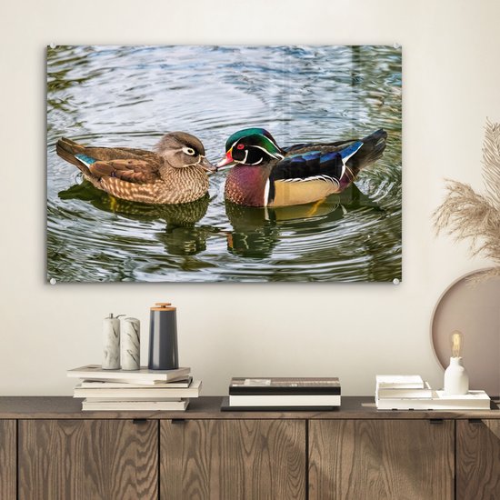 MuchoWow - Peinture sur verre - Photo sur verre - Verre acrylique - Canard - Vogels - Water - Ressorts - 60x40 cm - Peinture sur verre - Peinture sur verre oiseaux - Peinture sur verre animaux - Chambre