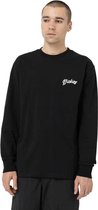 Dickies Dighton Lange Mouwenshirt Zwart M Man