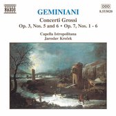 Capella Istropolitana - Concerti Grossi 2 (CD)