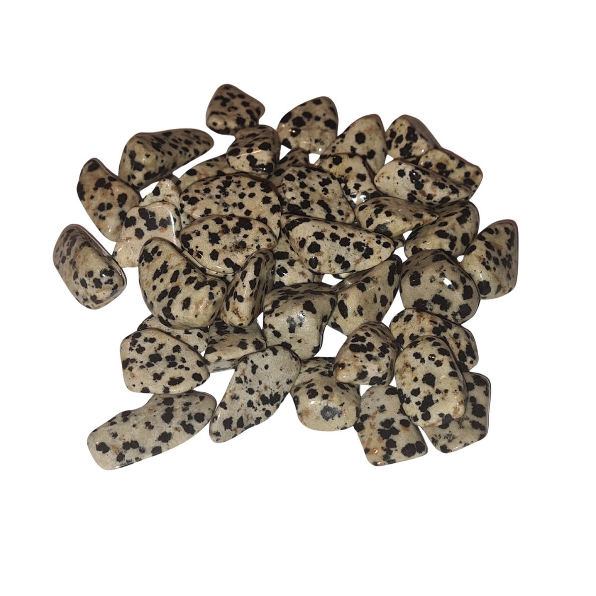 Dalmatiër jaspis trommelstenen - A kwaliteit - 3-4cm - 500gr