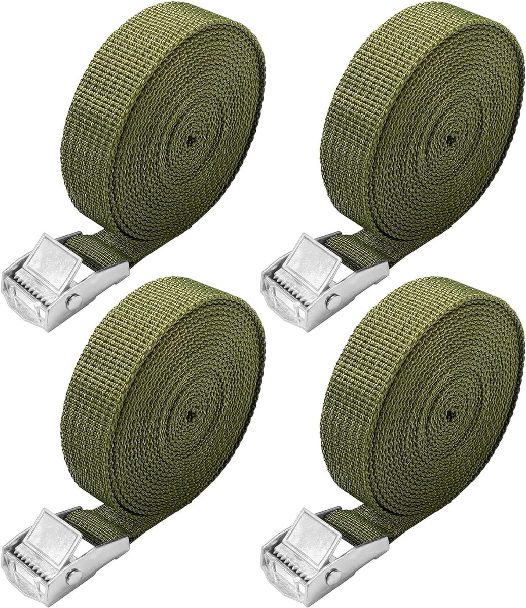 Spanbanden 10 m 4 stuks lange spanbanden met klemsluiting voor motorfiets fietsendrager extreem robuuste sjorbanden klein DIN EN 12195-2 standaard 10 m groen