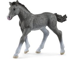 schleich HORSE CLUB - Trakehner veulen - Speelfiguur - Kinderspeelgoed voor Jongens en Meisjes - 5 tot 12 jaar -13944