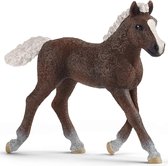 SLH13899 Schleich Farm World - Zwarte Woud Paard Veulen, Figuur voor Kinderen 3+