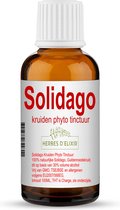 Solidago tinctuur - 100 ml - Herbes D'elixir