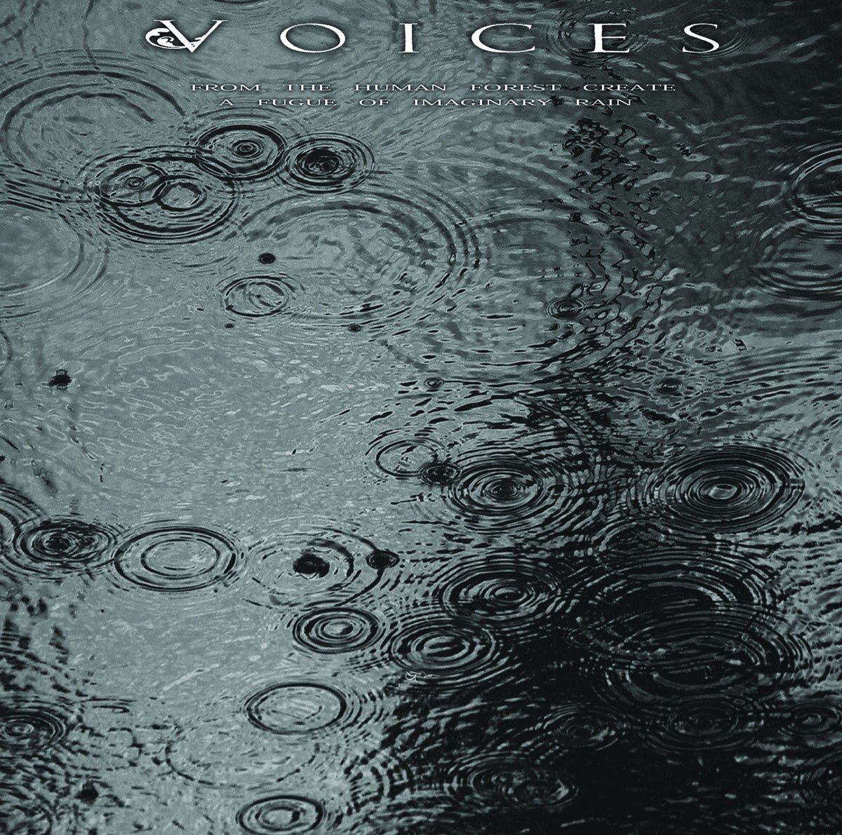 Voices - From The Human Forest Create A Fugue Of Imaginary Rain (CD)