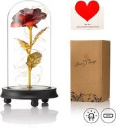Luxe Roos in Glas met LED – Gouden Roos in Glazen Stolp – Bekend van Beauty and the Beast Rose - Cadeau voor vriendin moeder haar - Donkere Voet - Qwality